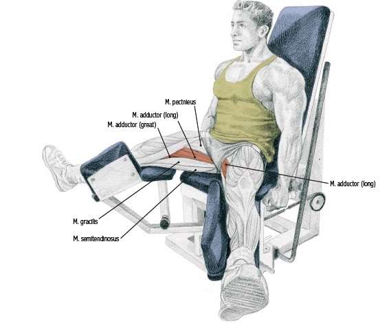 seated hip adduction exercise 1 flat out events christmas 10k 2019